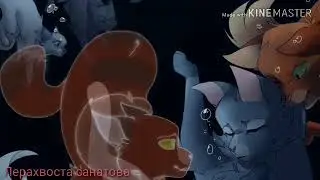 ||Коты воители ||~клип ~{Senpai}