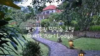 발리 부킷 밀림속 호텔 Bukit Asri Lodge