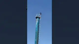 Первый раз на воле увидела настоящих аистов 😍 шок просто 