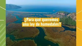 #EnUnToque 👉¿Para qué queremos una Ley de Humedales?