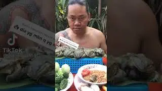 makan kodok mentah gimana rasanya #shorts