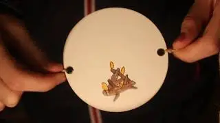 Даша Казакова Тауматроп