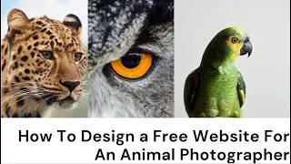 Website Design Tutorial for Beginners - Animal Photographer