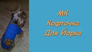 Кофта для Маленькой Собачки. (Для Йорка) Вяжем крючком.