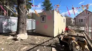 Гостиница для животных Петрозаводск