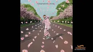 Younger Brother - Spinning Into Place