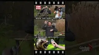 Leaping Lemurs | News Bites