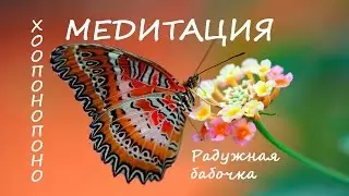 Медитация Хоопонопоно Радужная бабочка