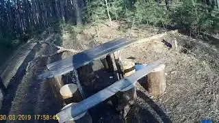 Испытание Лидер 3.221 20 лс кросс в лесу