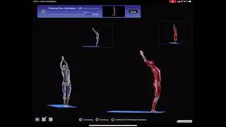 Yoga Classical Sun Salutation