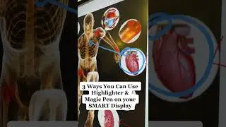 SMART #shorts: 3 Ways You Can Use Highlighter & Magic Pen on Your SMART Display