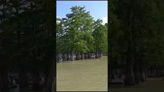 Кипарисовое озеро Анапа 