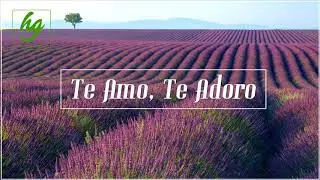 TE AMO, TE ADORO | Hnos. Medina ft. Joel Herrera | LLDM