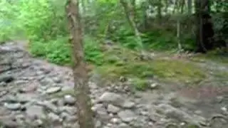 Rattler Ford Campground