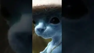 Blue Smurf Cat Iceberg! #bluesmurfcat #memes #iceberg