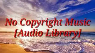 Everyday || [ No Copyright Music]