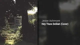 Hey There Delilah (Cover)
