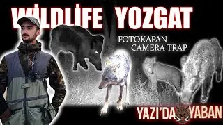 Yozgat Yaban Hayatı  (wild life in Yozgat)