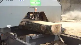 Sawmill & Chill - 50 YEAR OLD Pear Tree to Slabs