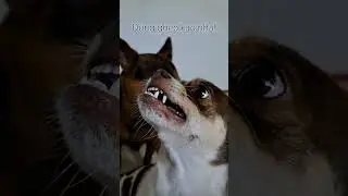 Đừng ghẹo kao!