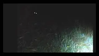 It Felt Like Something Was Watching Me...