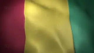 Guinea Flag - Realistic - Waving Flag - Full HD - 1080 - Seamless Loop