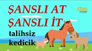 Şanslı At, Şanslı İt ve Talihsiz Kedicik