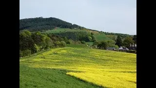 North York Moors Country Walk   Great Ayton to Little Ayton and Cliff Ridge Wood Bluebells round