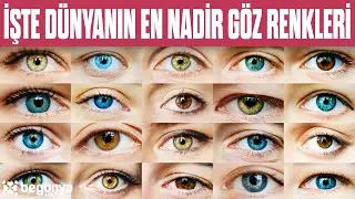 Eye Color Ratios Around the World