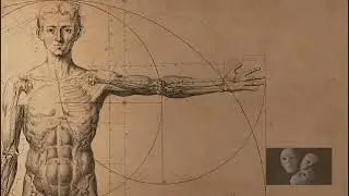 Anatomia dos livros e suas imagens servem para quê?