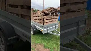 11 июня 2023 г.