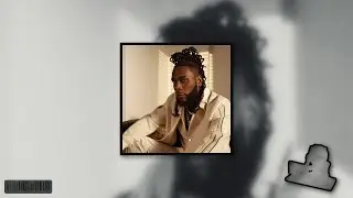 [FREE] burna boy x wizkid type beat ~ 