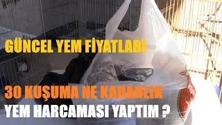30 Kuşun Yem Maliyeti Kuş Yemleri Son Fiyatları Ne Kadar | Yeni Alışveriş Yaptım