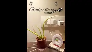 Study With Me| Late night study  1hr- with background instrumental pop songs study music