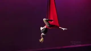 Circus Star 2015 - Competitor, Dark Karousel