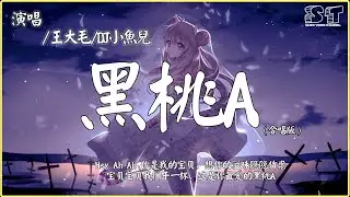 王大毛/DJ小魚兒 - 黑桃A（合唱版）『Hey Ah Ah 你是我的寶貝，想你的滋味隱隱作祟』【动态歌词Pinyin Lyrics】