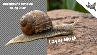 Remove Background Picture in GIMP with layer mask - 4