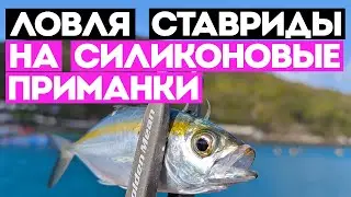 Great catch of horse mackerel. Fishing from the pier with silicone baits.