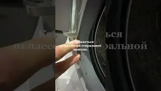 27 июля 2024 г.
