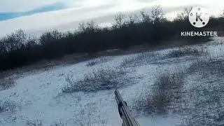 Охота с Эстонским Г. \ Рыжуха