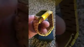 Nixon Regulus SS all gold 