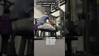 Seated cable lower back extension #stiff #stifflowerback #lowerbackpain #lowerbackworkout #cables