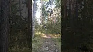 Не уходи! Побудь со мною.