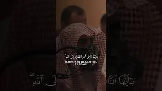 Просто услада для души ❤️