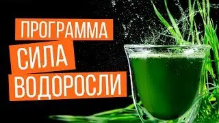 Программа 