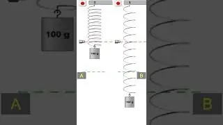 Oscillations in Phases & Out of Phases Animation | S.H.M | Physics | STD 11