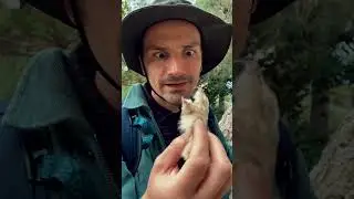 Заброшенный отель 6 / следующая серия скоро в профиле