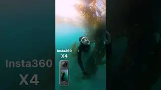 Insta360 X4 kelp forest beauty! Epic 8K! 