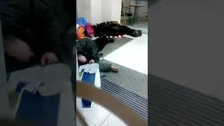 Польские бомжи спят в банке Часть 2