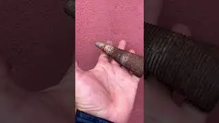 Куда и как закрутить такой необычный ?БОЛТ?